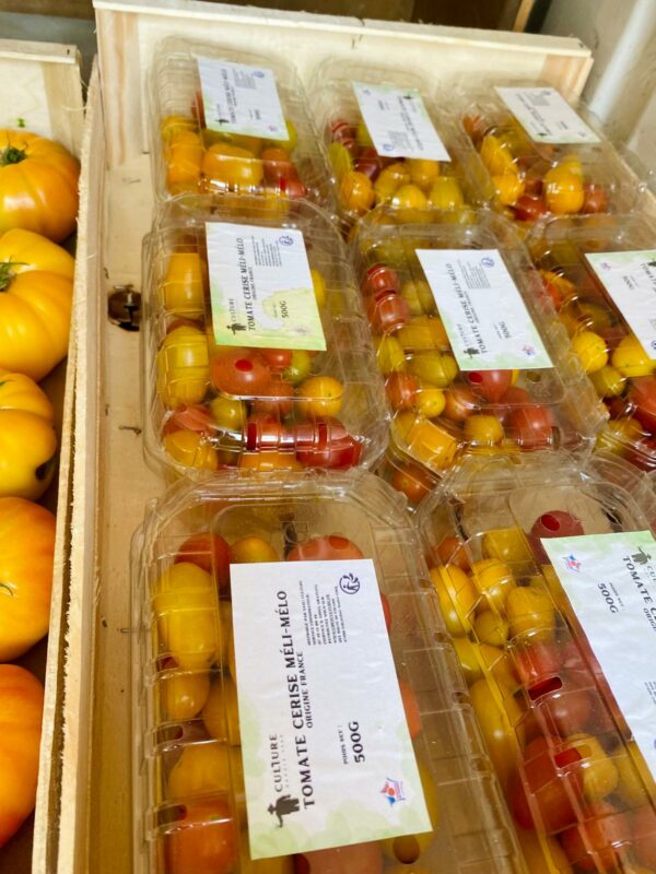 Tomate cerise