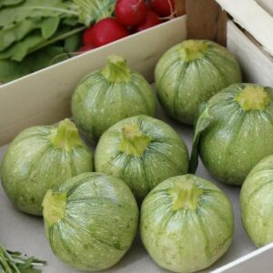 Courgette